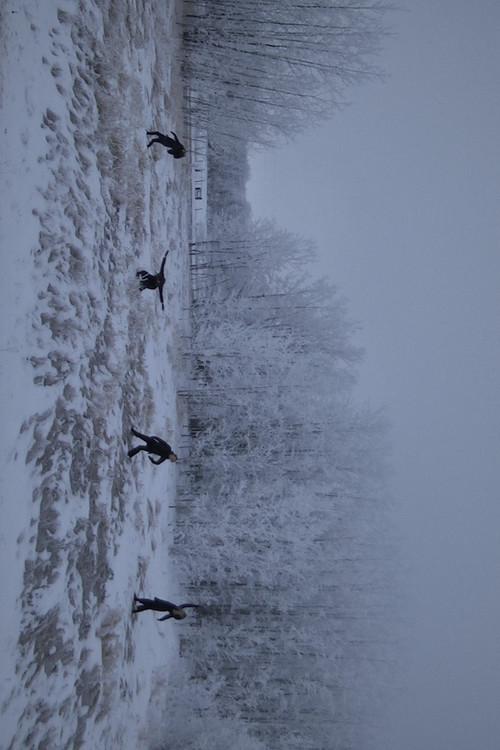 Soft Red Winter official movie poster
