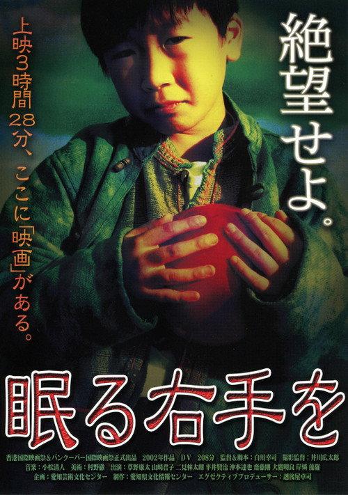 While the Right Hand Is Sleeping 2003 official movie poster