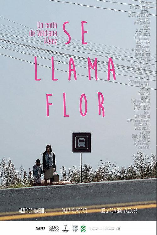 Her Name Is Flor 2021 official movie poster
