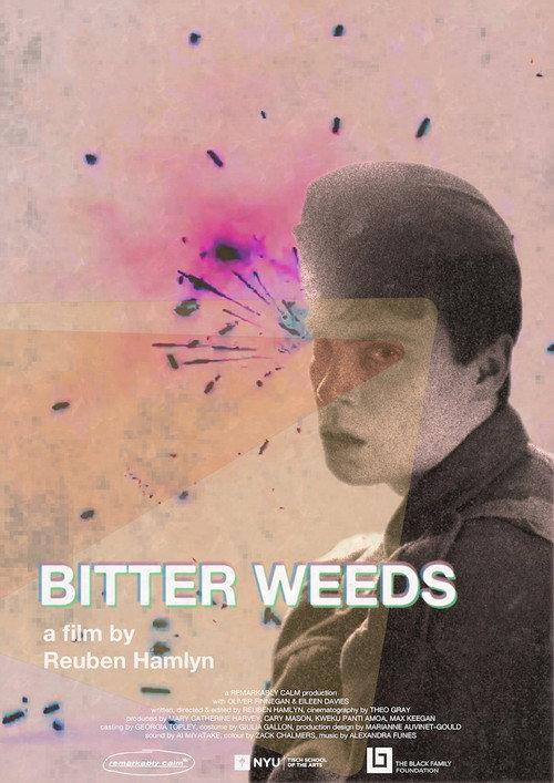 Bitter Weeds 2024 official movie poster