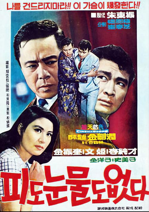 Cruel Revenge 1969 official movie poster