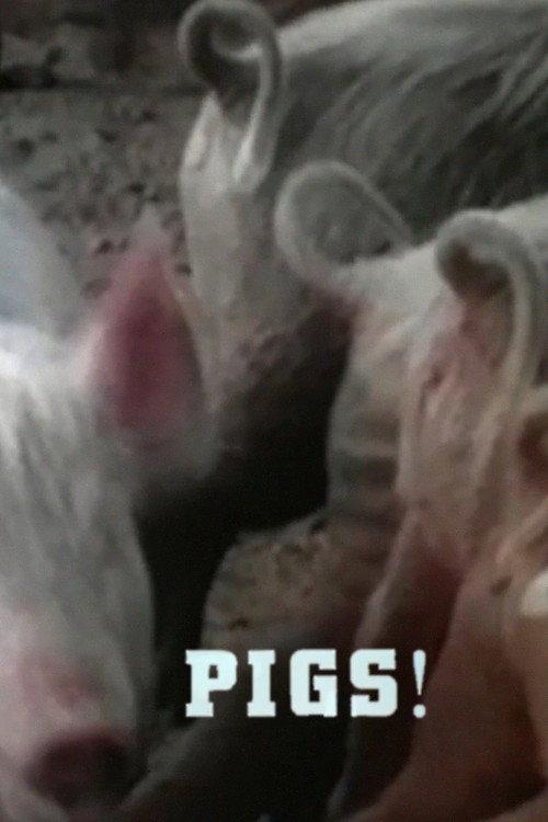 Pigs! 1967 official movie poster
