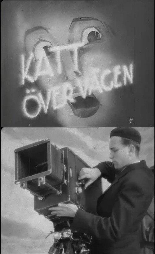 Cat Across the Road 1937 official movie poster