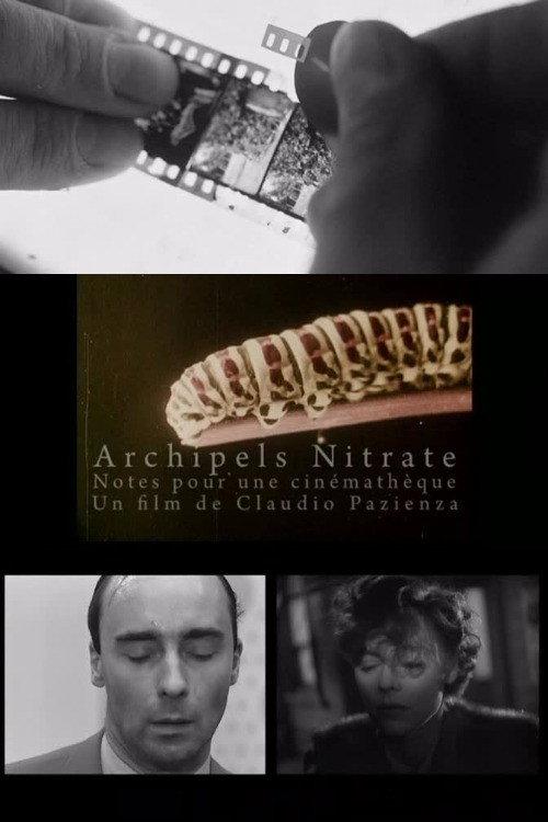 Archipels nitrate 2009 official movie poster
