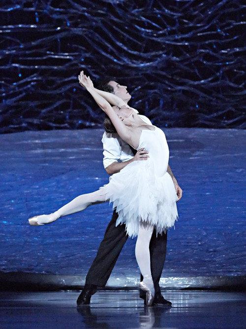 Graeme Murphy's Swan Lake official movie poster