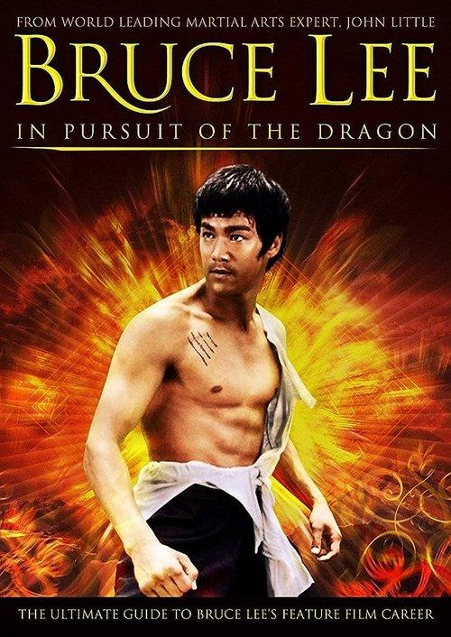 Bruce Lee: In Pursuit of the Dragon 2011 official movie poster