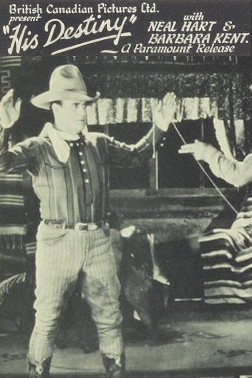 His Destiny 1928 official movie poster