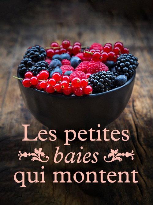 Les petites baies qui montent 2021 official movie poster