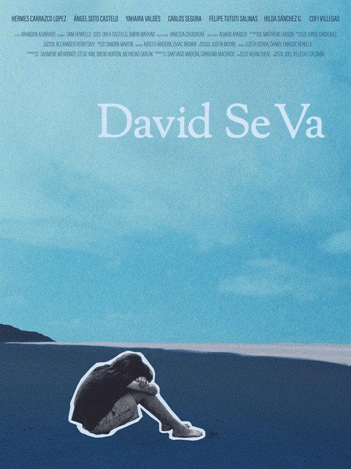 David Se Va official movie poster