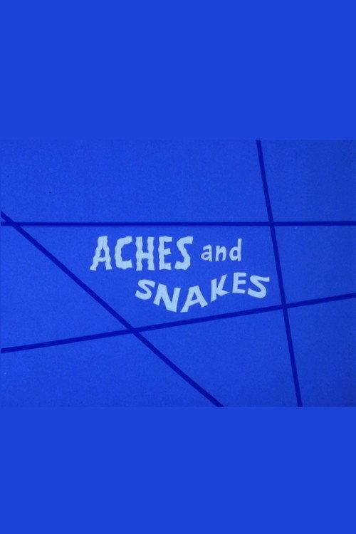 Aches and Snakes 1973 official movie poster