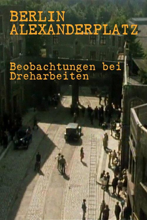 Notes on the Making of 'Berlin Alexanderplatz' 1980 official movie poster