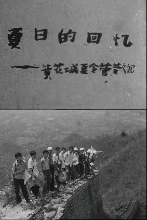 Recollections of the Summer 1982 official movie poster