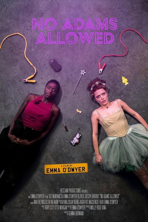 No Adams Allowed 2025 official movie poster