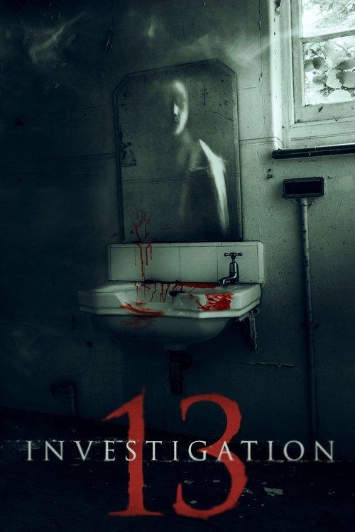Investigation 13 2019 official movie poster