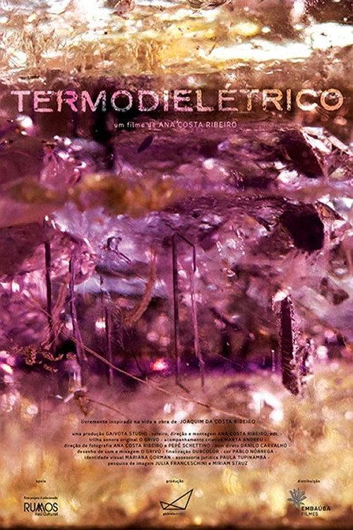 Thermodielectric 2023 official movie poster