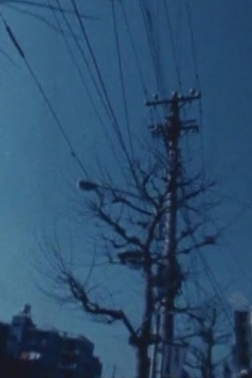 Passing By Landscapes 1976 official movie poster