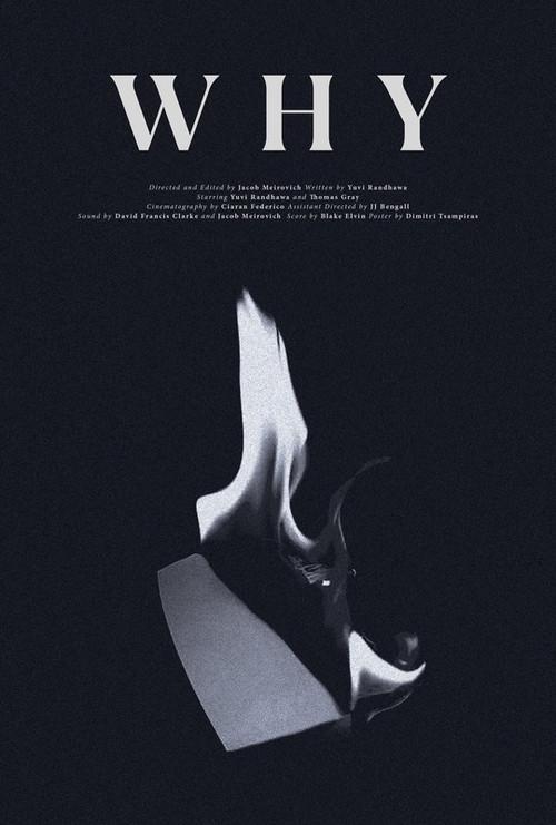 WHY 2022 official movie poster