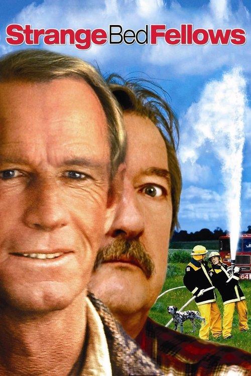 Strange Bedfellows 2004 official movie poster