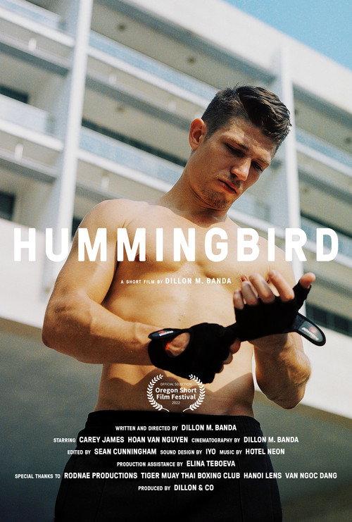Hummingbird 2022 official movie poster