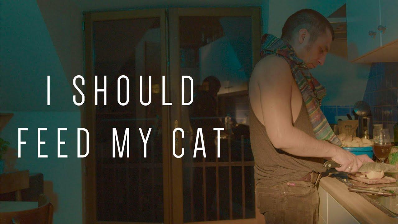 I Should Feed My Cat Trailer