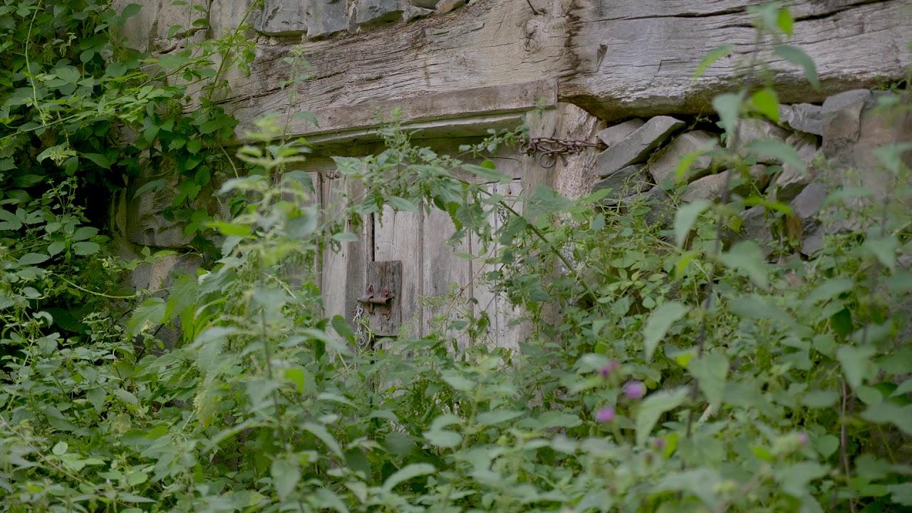 Gniele Dances Trailer