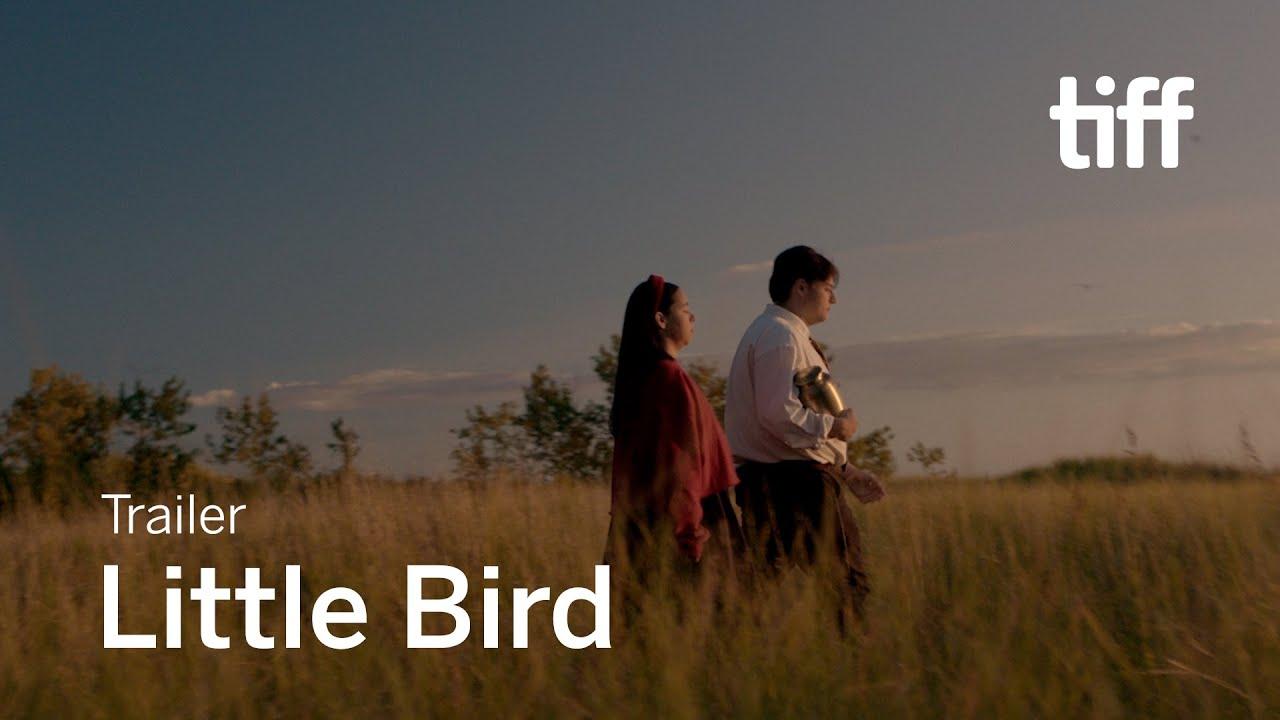 Little Bird Trailer