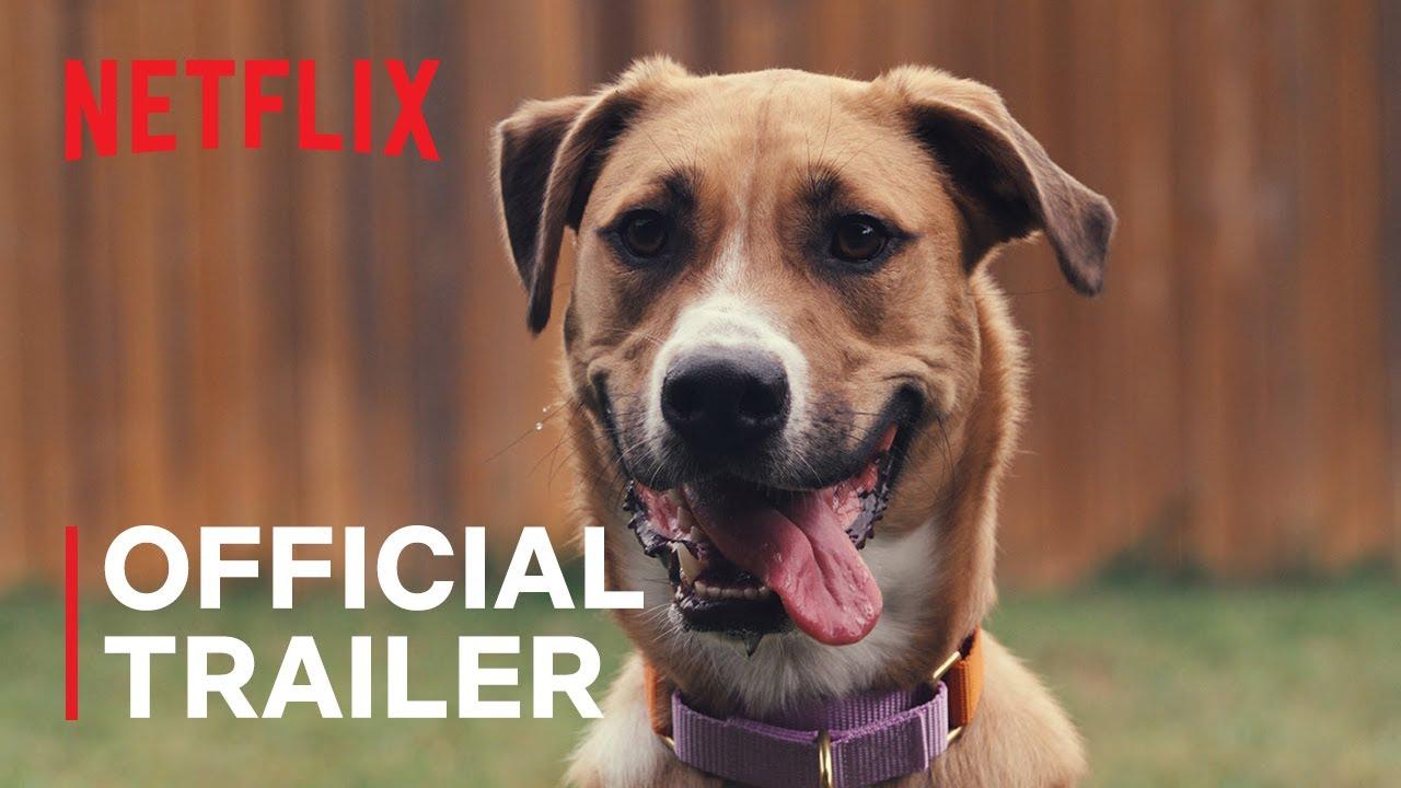 Inside the Mind of a Dog Trailer
