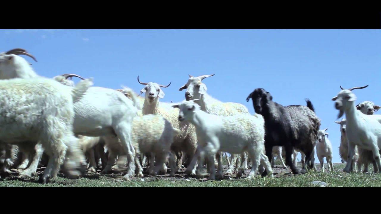 Territorios extraordinarios Trailer