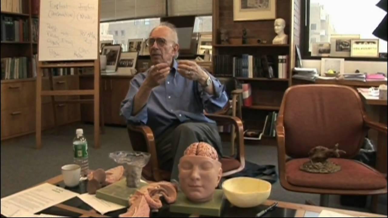 In Search of Memory Trailer