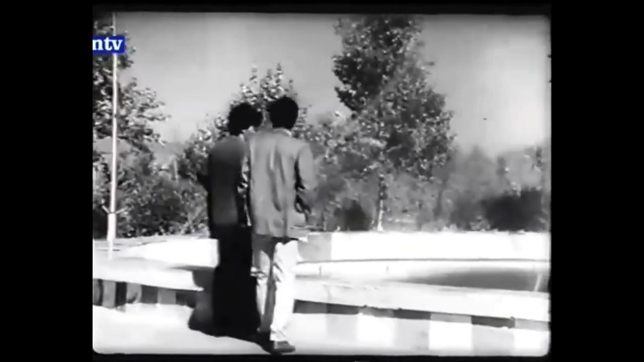Flowers from the Next Spring Trailer