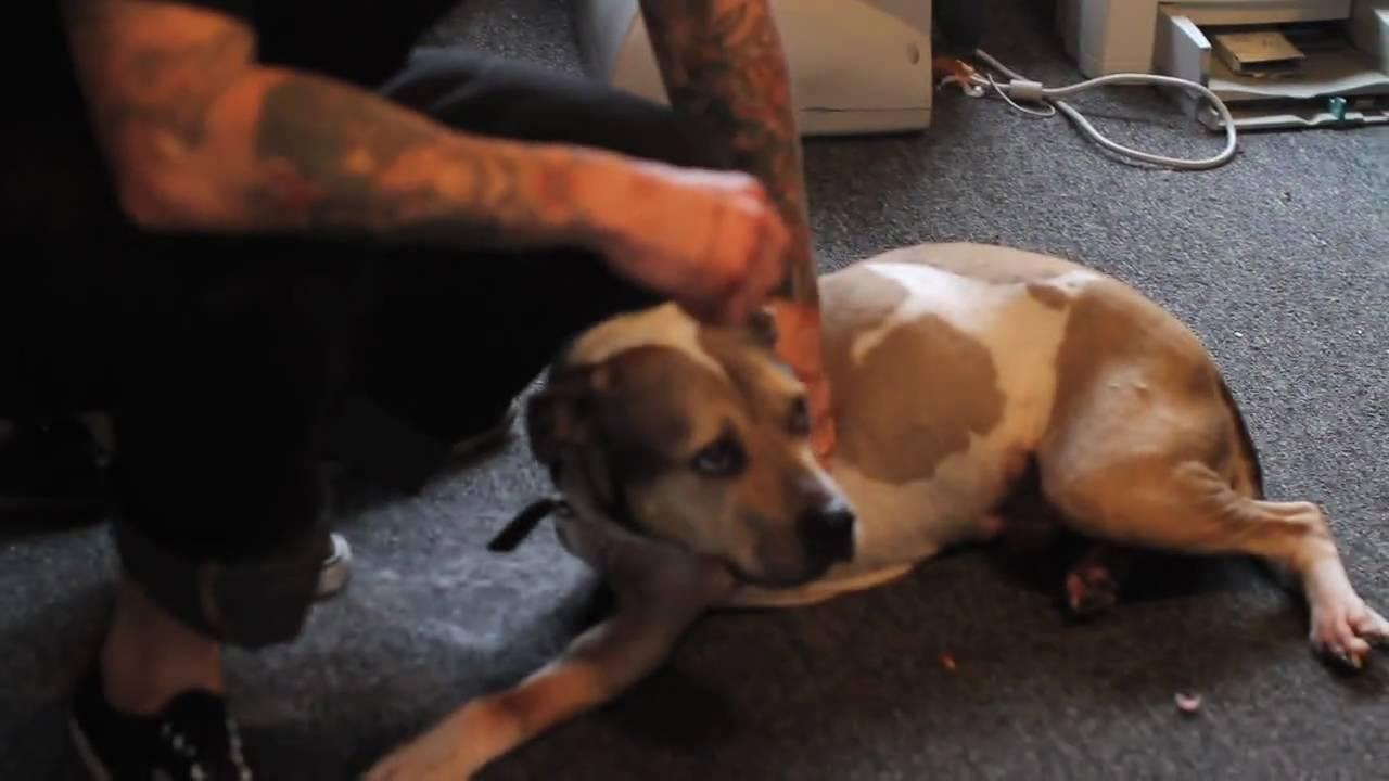 Last Minutes with ODEN Trailer