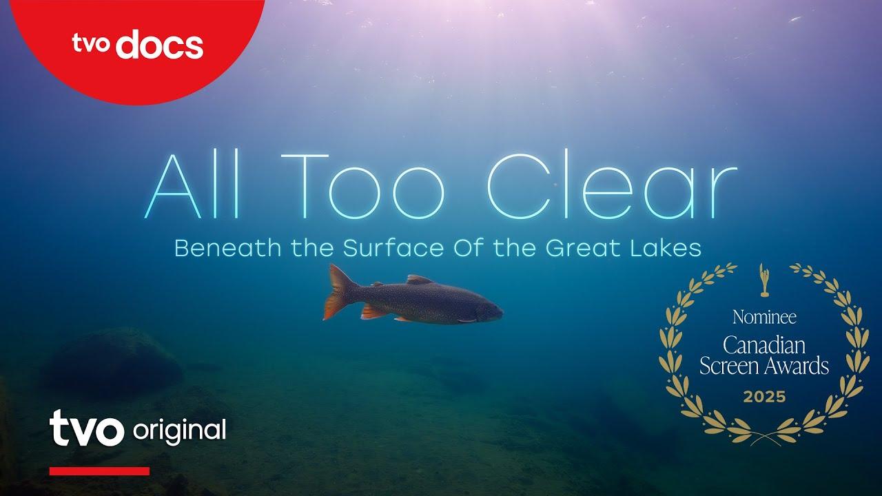 All Too Clear Trailer