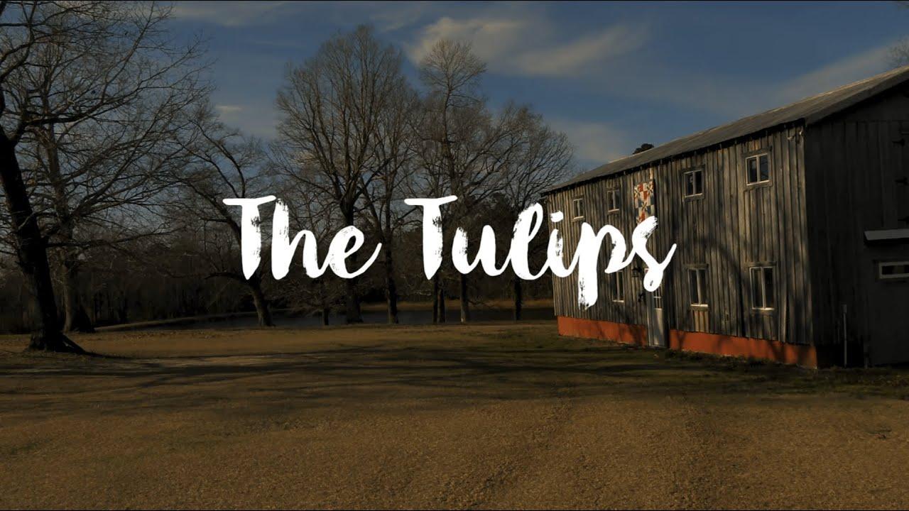 The Tulips Trailer