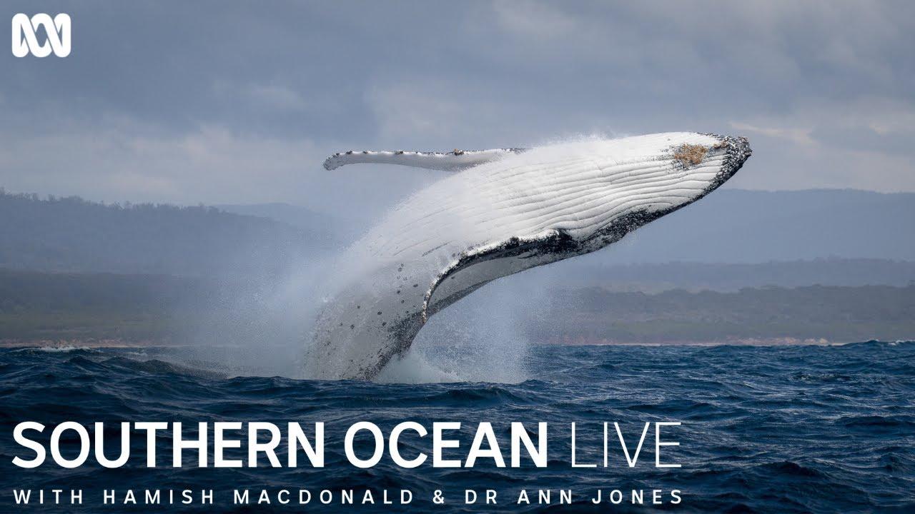 Southern Ocean Live Trailer