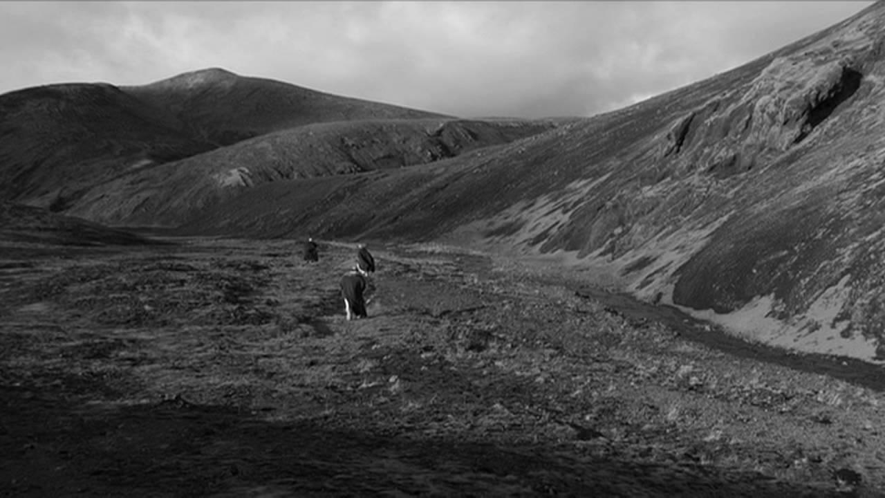 Birdsong Trailer