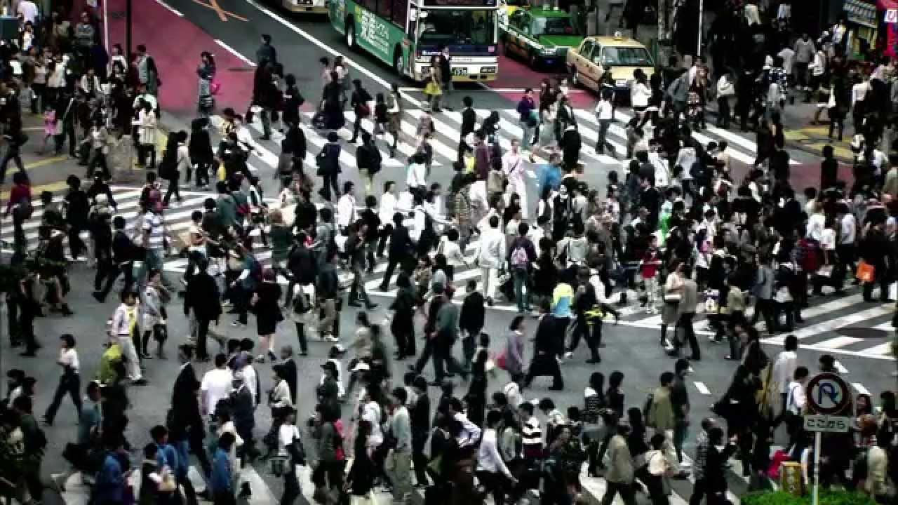 Human Harvest Trailer