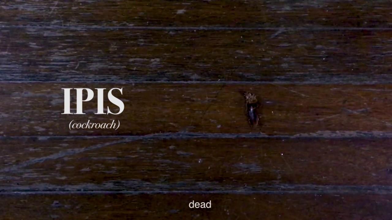 Cockroach II Trailer