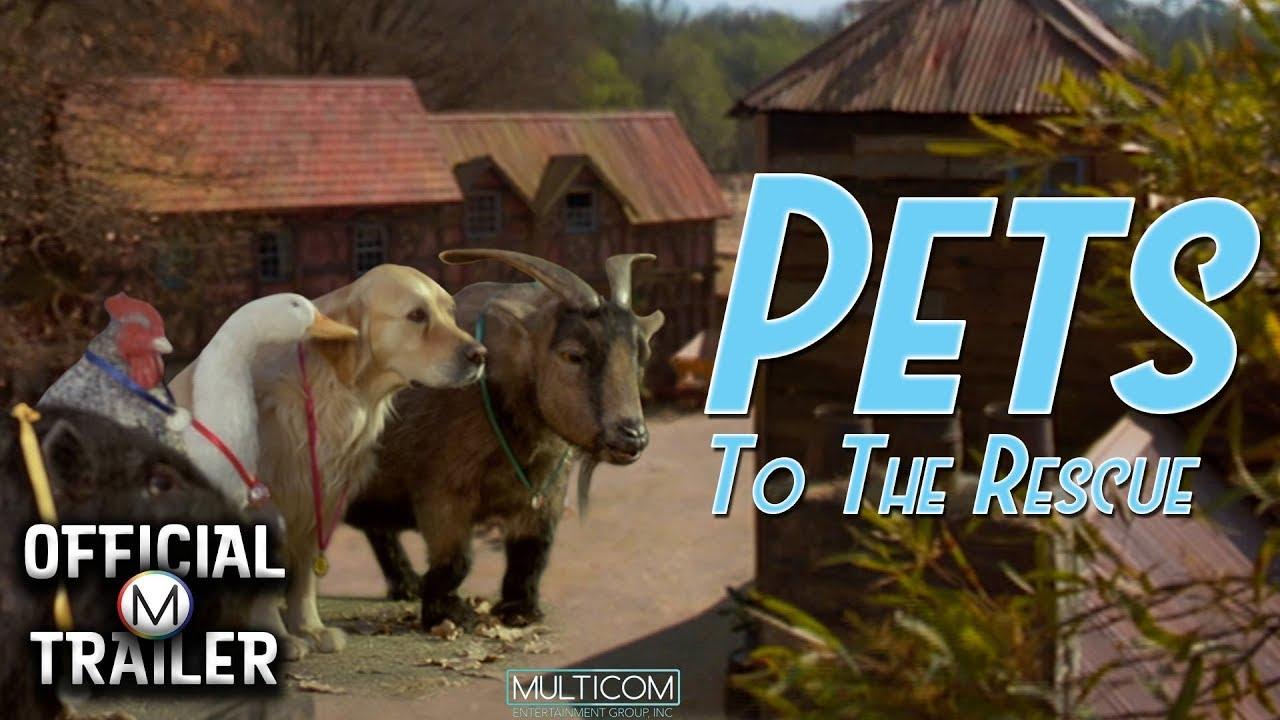 Pets Trailer