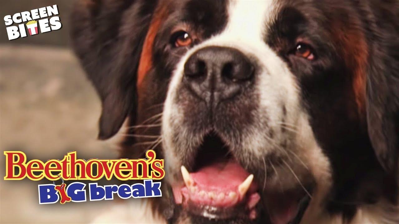Beethoven's Big Break Trailer