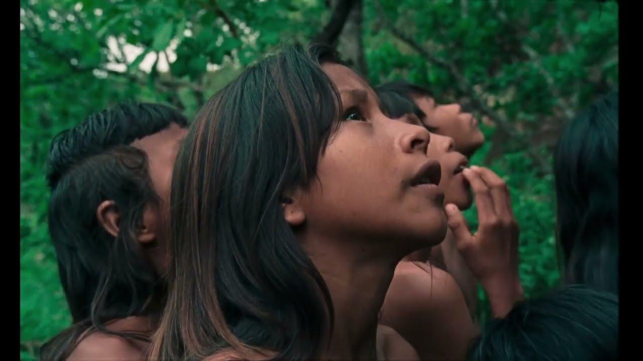 The Buriti Flower Trailer