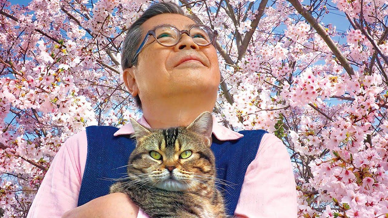 The Island of Cats Trailer