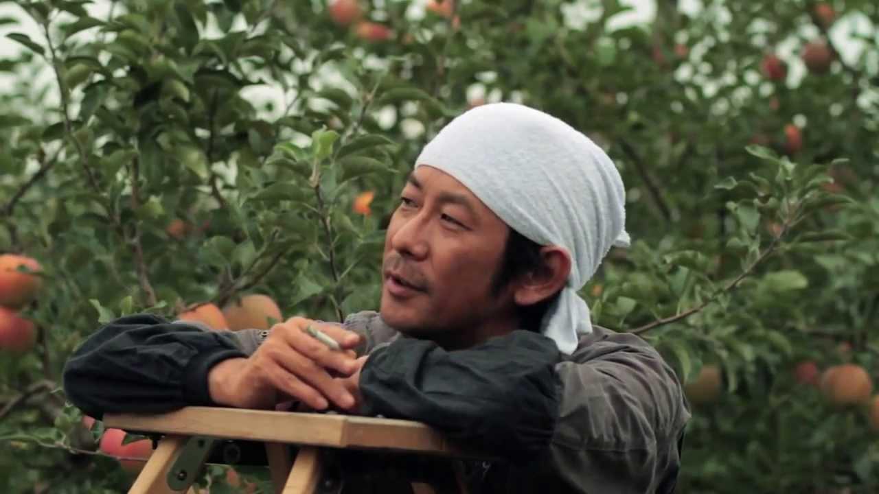 A Girl in the Apple Farm Trailer