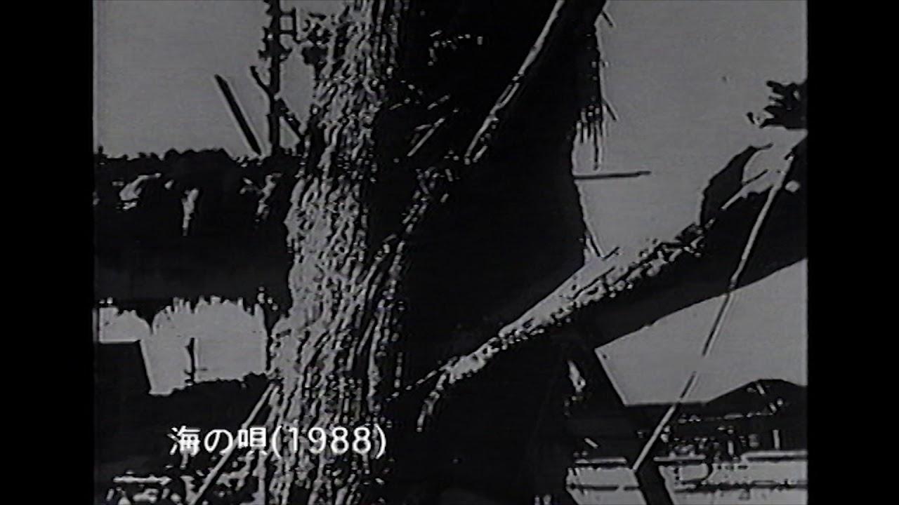Sea Roar Trailer