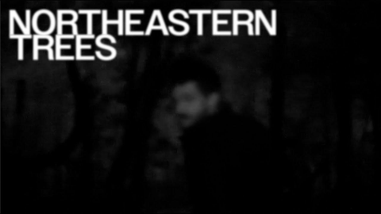 NORTHEASTERN TREES Trailer