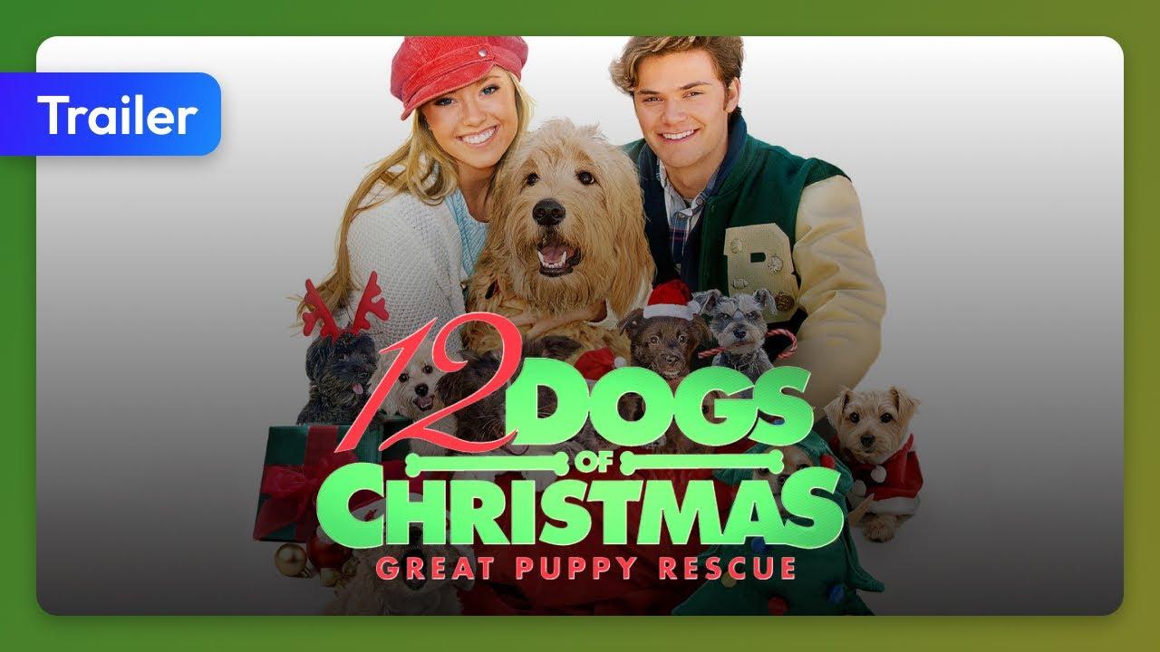 12 Dogs of Christmas: Great Puppy Rescue Trailer