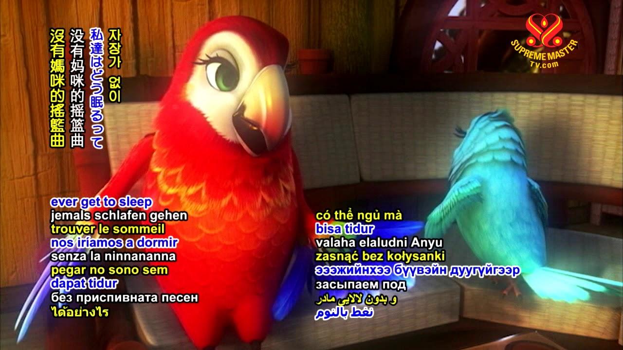 Birds of Paradise Trailer