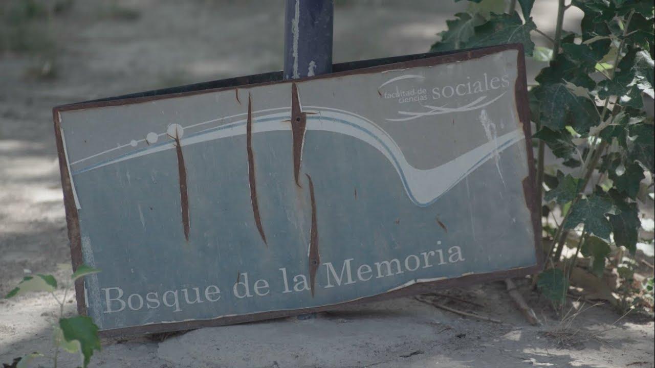 Forest of Memory Trailer