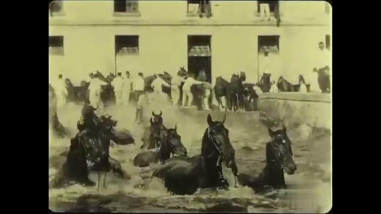 La scuola di cavalleria Tor di Quinto Trailer