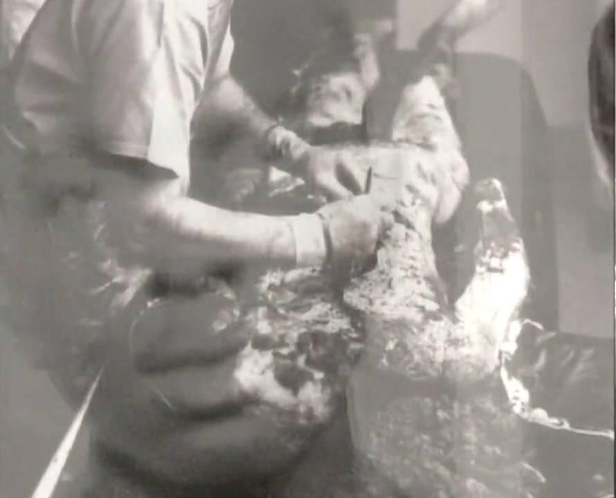 Neshoba Trailer