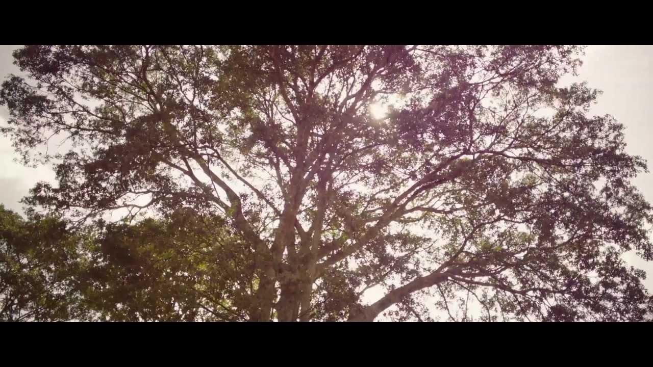 Something Necessary Trailer